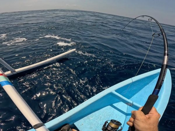 Морская рыбалка в Фуджейре: где ловить у свалов - и почему правильный дрейф решает, пройдет ли приманка по бровке без зацепов