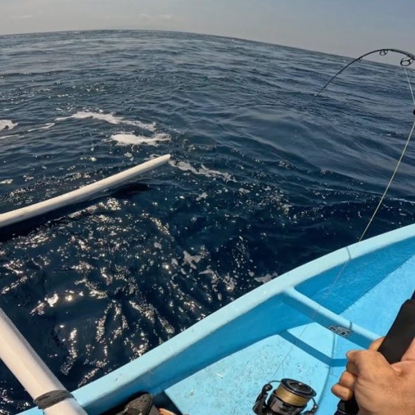 Морская рыбалка в Фуджейре: где ловить у свалов - и почему правильный дрейф решает, пройдет ли приманка по бровке без зацепов